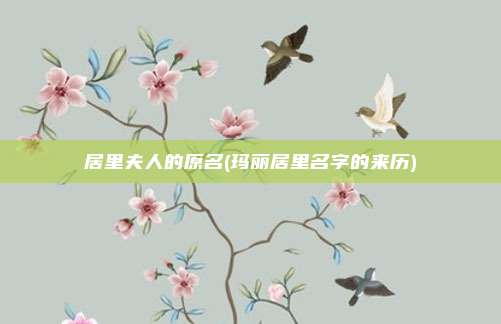 居里夫人的原名(玛丽居里名字的来历)