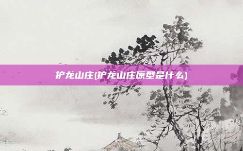 护龙山庄(护龙山庄原型是什么)