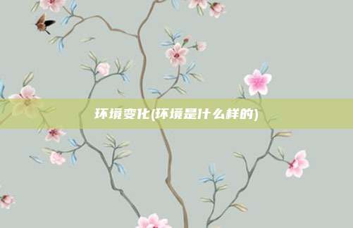 环境变化(环境是什么样的)
