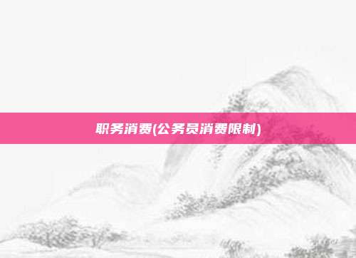 职务消费(公务员消费限制)