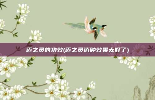 迈之灵的功效(迈之灵消肿效果太好了)
