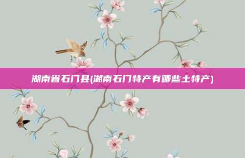 湖南省石门县(湖南石门特产有哪些土特产)