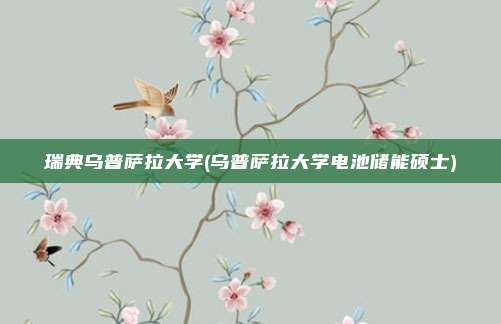 瑞典乌普萨拉大学(乌普萨拉大学电池储能硕士)