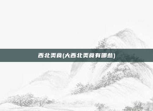 西北美食(大西北美食有哪些)