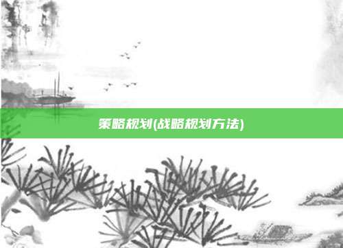 策略规划(战略规划方法)