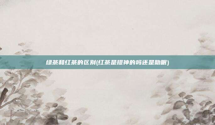 绿茶和红茶的区别(红茶是提神的吗还是助眠)