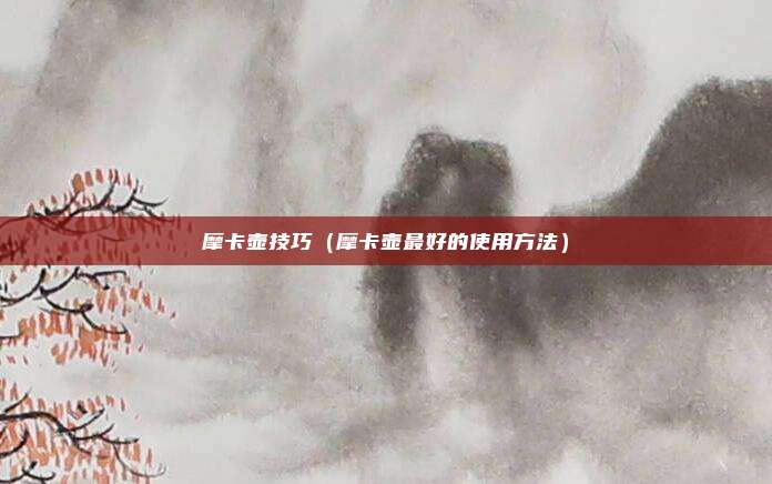 摩卡壶技巧（摩卡壶最好的使用方法）