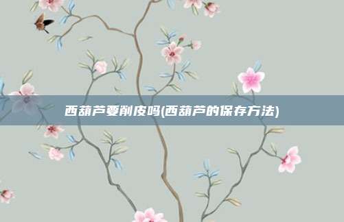 西葫芦要削皮吗(西葫芦的保存方法)