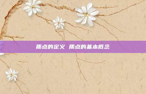 质点的定义 质点的基本概念