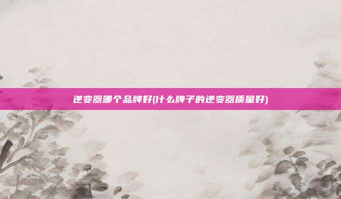 逆变器哪个品牌好(什么牌子的逆变器质量好)