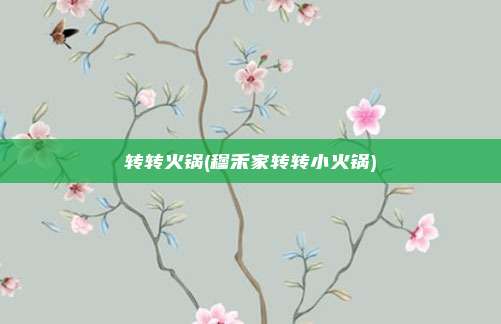 转转火锅(穆禾家转转小火锅)