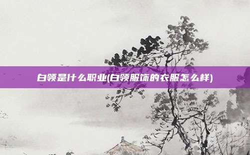 白领是什么职业(白领服饰的衣服怎么样)