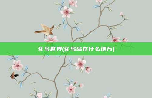 花鸟世界(花鸟岛在什么地方)