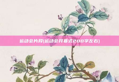 运动会片段(运动会开幕式200字左右)