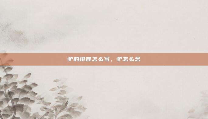 驴的拼音怎么写,驴怎么念