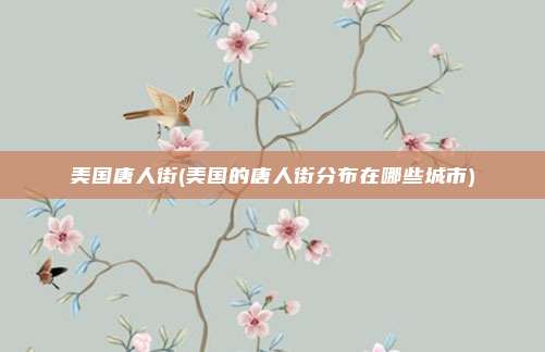 美国唐人街(美国的唐人街分布在哪些城市)