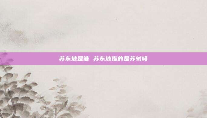 苏东坡是谁 苏东坡指的是苏轼吗