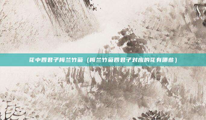 花中四君子梅兰竹菊(梅兰竹菊四君子对应的花有哪些)
