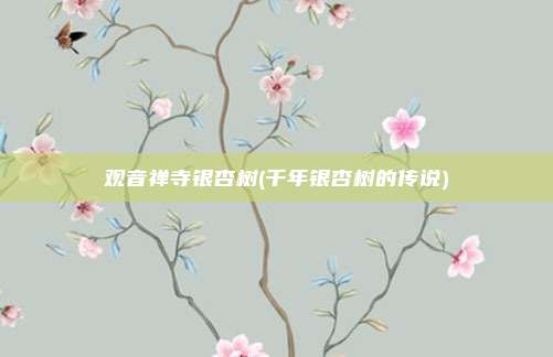 观音禅寺银杏树(千年银杏树的传说)