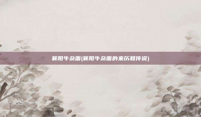 襄阳牛杂面(襄阳牛杂面的来历和传说)
