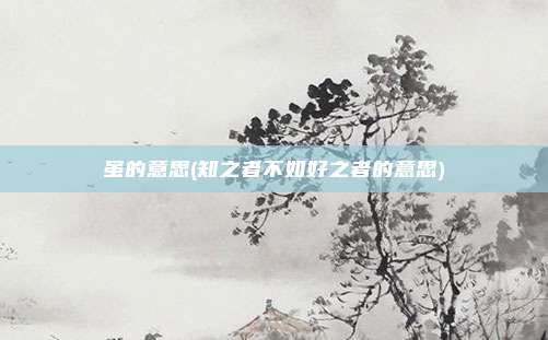 虽的意思(知之者不如好之者的意思)