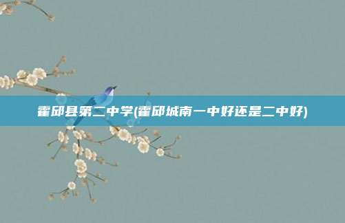 霍邱县第二中学(霍邱城南一中好还是二中好)