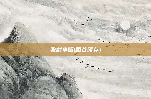收割水稻(稻谷储存)