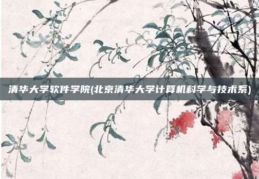 清华大学软件学院(北京清华大学计算机科学与技术系)
