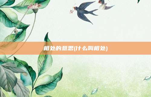 相处的意思(什么叫相处)