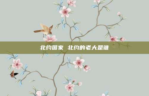北约国家 北约的老大是谁