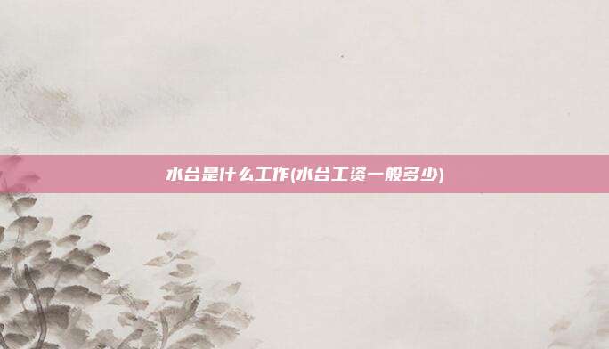 水台是什么工作(水台工资一般多少)