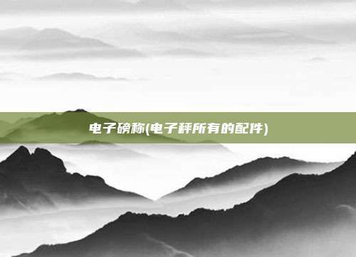 电子磅称(电子秤所有的配件)