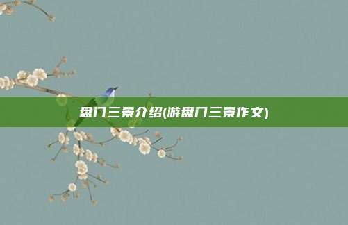 盘门三景介绍(游盘门三景作文)