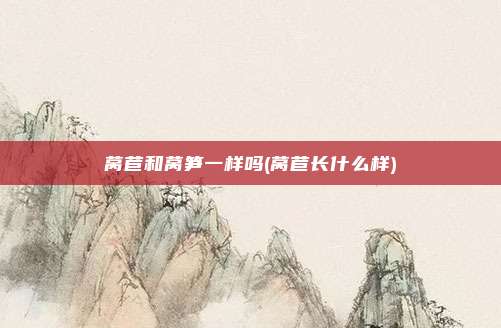 莴苣和莴笋一样吗(莴苣长什么样)