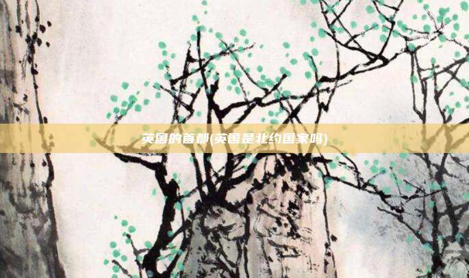 英国的首都(英国是北约国家吗)
