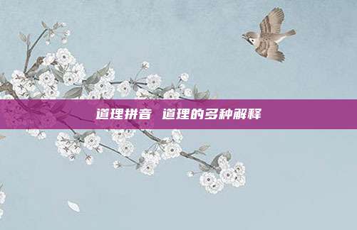 道理拼音 道理的多种解释