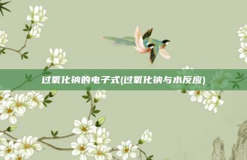 过氧化钠的电子式(过氧化钠与水反应)