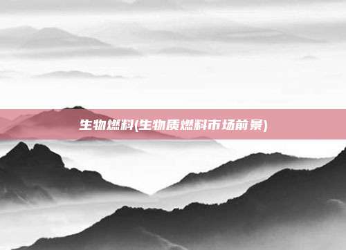 生物燃料(生物质燃料市场前景)
