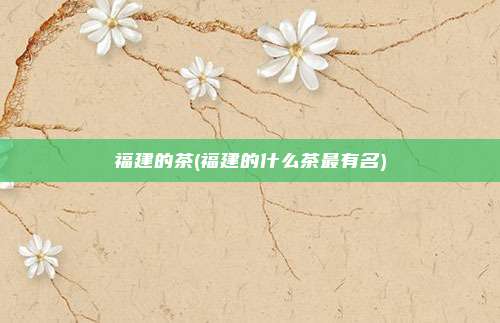 福建的茶(福建的什么茶最有名)