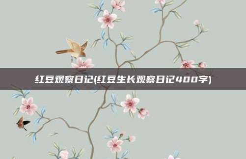 红豆观察日记(红豆生长观察日记400字)