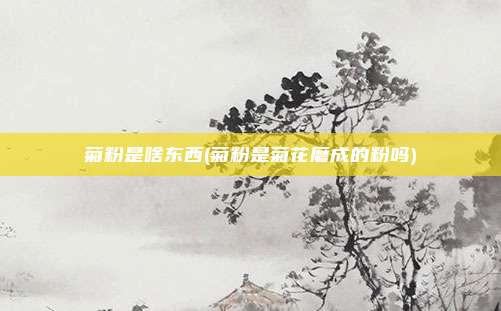 菊粉是啥东西(菊粉是菊花磨成的粉吗)
