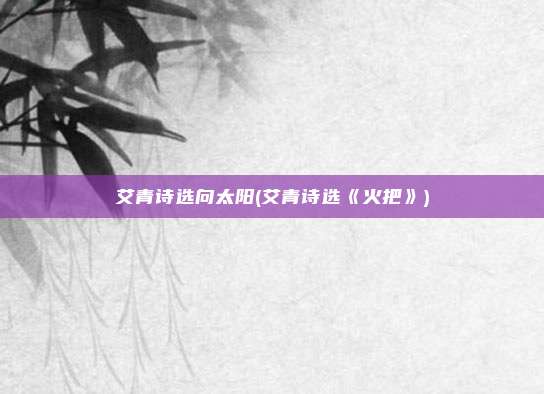 艾青诗选向太阳(艾青诗选《火把》)