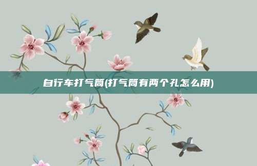 自行车打气筒(打气筒有两个孔怎么用)