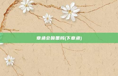 章鱼会喷墨吗(下章鱼)
