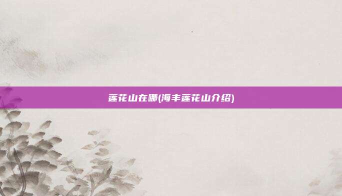 莲花山在哪(海丰莲花山介绍)