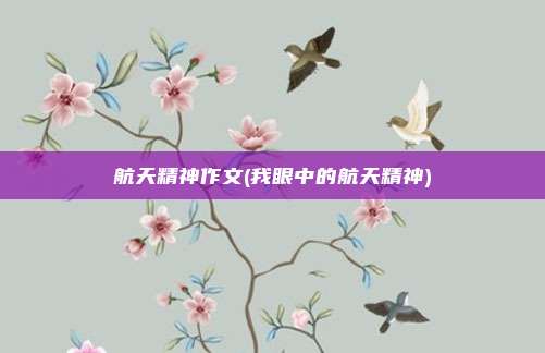 航天精神作文(我眼中的航天精神)