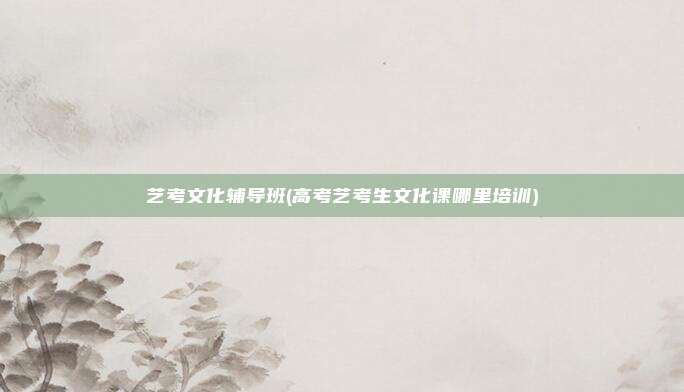艺考文化辅导班(高考艺考生文化课哪里培训)