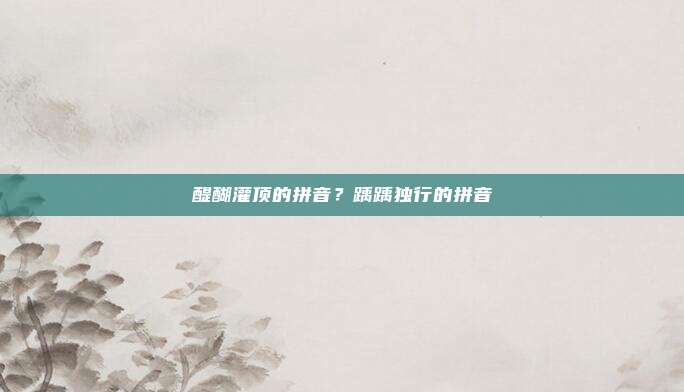 醍醐灌顶的拼音?踽踽独行的拼音