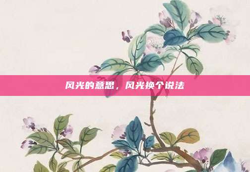 风光的意思,风光换个说法