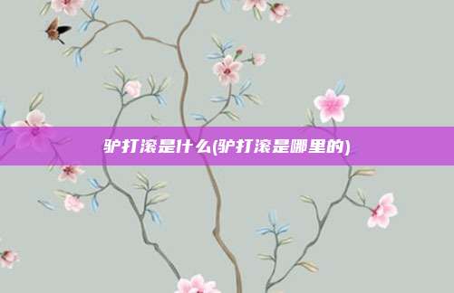 驴打滚是什么(驴打滚是哪里的)